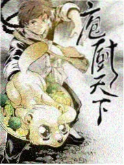 综艺抽屉编目图鉴示例